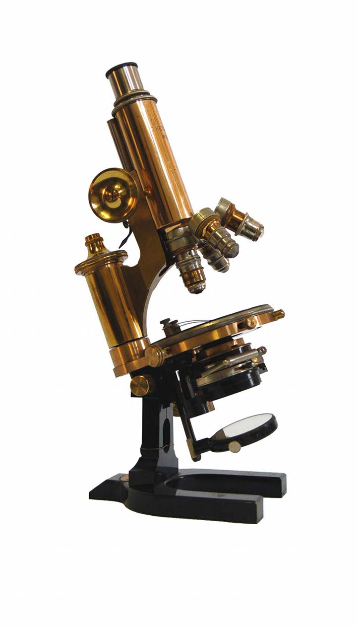 Microscopio Reichert