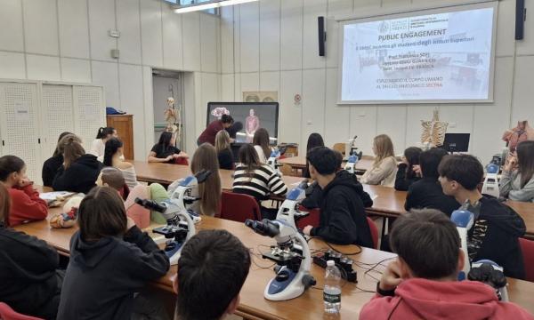 Esplorando il Corpo Umano al Tavolo Anatomico SECTRA.