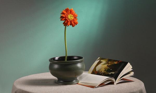 Mostra fotografica