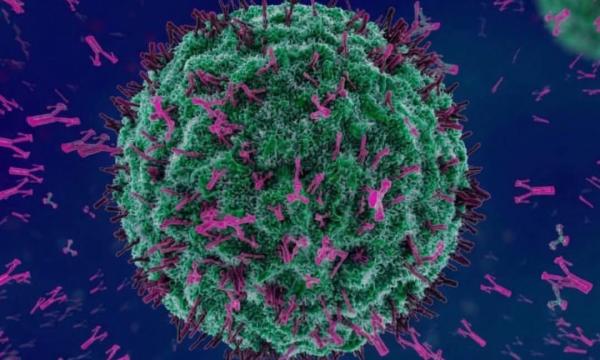 Innovazione, ricerca e talento al femminile all&rsquo;Universit&agrave; di Firenze.