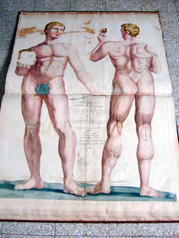 Amé Bourdon. . Nouvelles Tables Anatomiques. Paris 1678